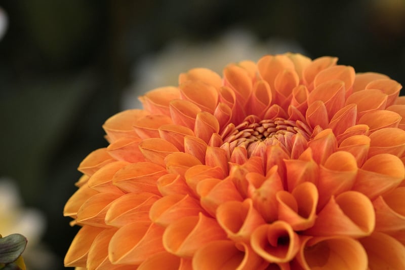 Botanical Garden Locations